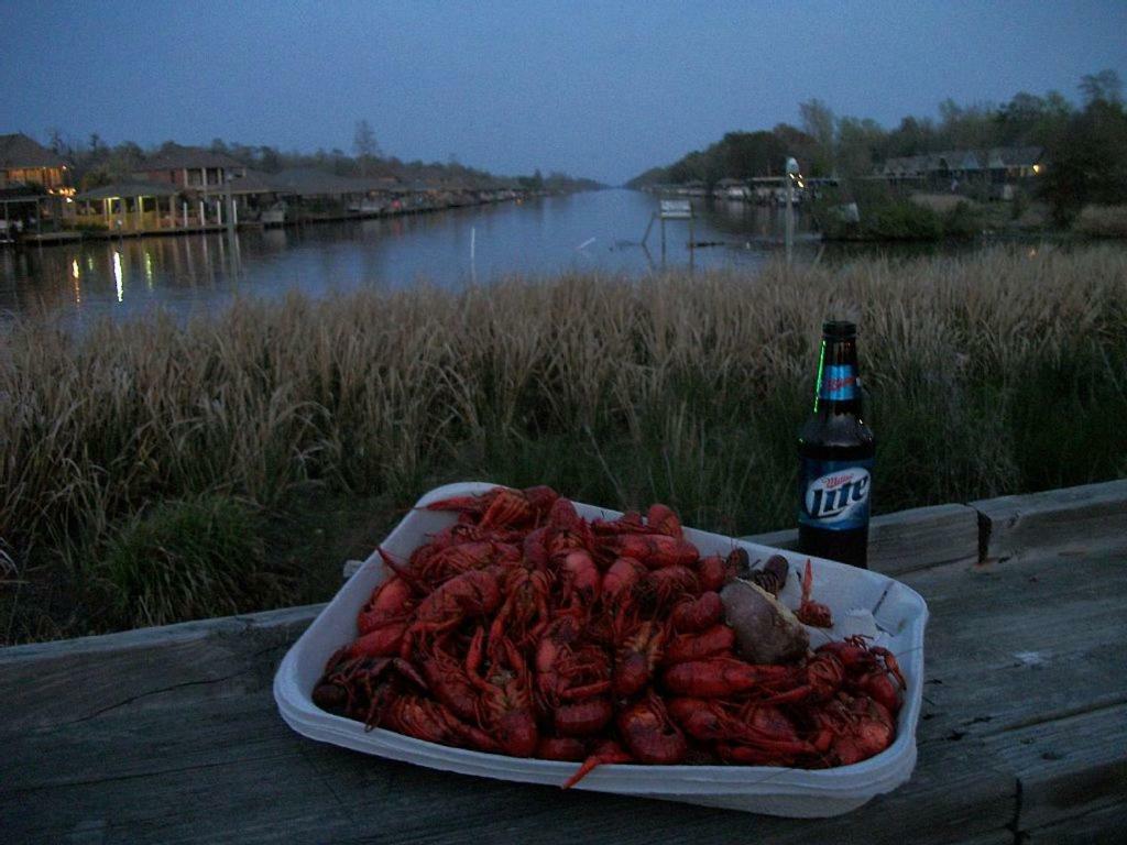 Cozy Cabin On The Bayou Maurepas Dış mekan fotoğraf